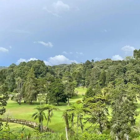 Play At Iris Resort Tanah Rata Cameron Highlands Exterior photo